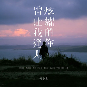 曾让我逢人炫耀的你
