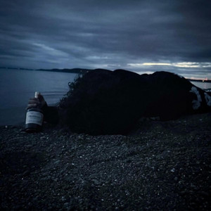 farewell cruel world i wont miss you by imar