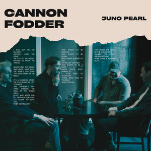 Cannon Fodder by Juno Pearl