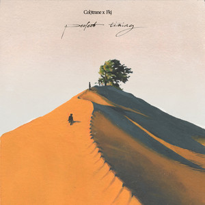 Portada de Perfect Timing