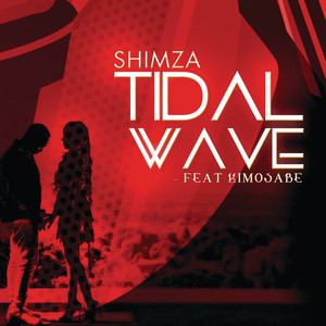 Tidal Wave by Shimza, Kimosabi