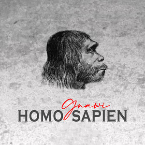 Gnawi - Homo Sapien