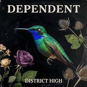 Dependent by District High
