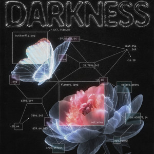 Обкладинка: Darkness