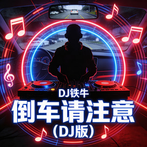 倒车请注意 (Dj版)