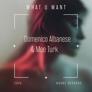 What U Want by Domenico Albanese, Moe Turk