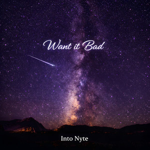 Want It Bad by Into Nyte