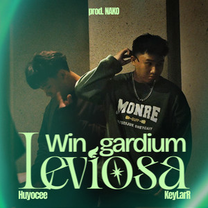 HUYOCEE & KeyLarR - Wingardium Leviosa