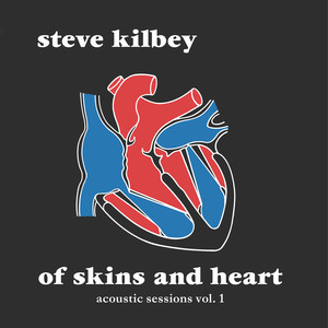 The Unguarded Moment - Acoustic by Steve Kilbey