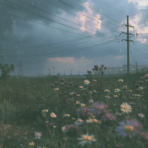 just before it rained by umbrellaboy., No Sormal