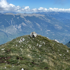 Non ho più paura by Cittadì