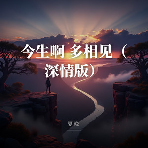 今生啊 多相见（深情版） by 夏晚
