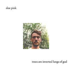 Trees Are Inverted Lungs of God