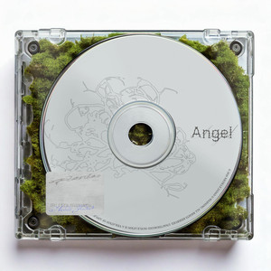 ANGEL by Nicolle Jadad