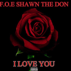 F.O.E. Shawn The Don - I Love You (Radio Edit)