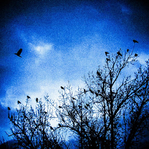 Right At Home by Poison Grove