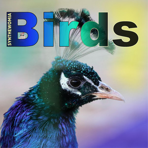 Synthewomia - Birds