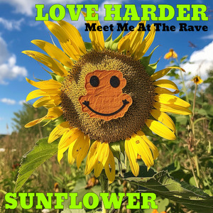 Meet Me At The Rave by Love Harder, Sunflower