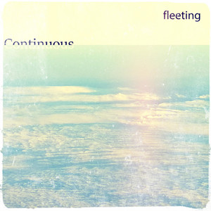 Fleeting - Miss You