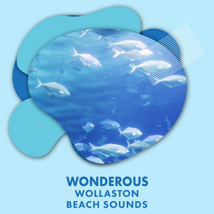 Wonderous Wollaston Beach Sounds album