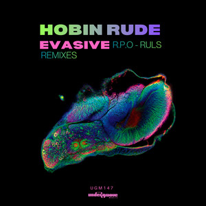 Evasive by Hobin Rude