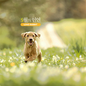 Friend In May by Love Rabbit