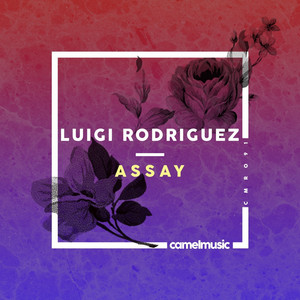 Luigi Rodriguez cover