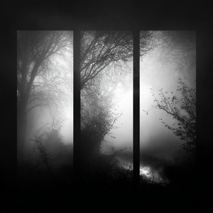 Sciel by Alicia Dessendre