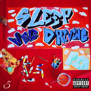 Sleep While Driving