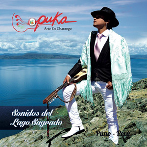 Puka Arte en Charango - Calavera
