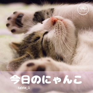 table_1 - Today's Cat