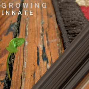 Springtide by Innate