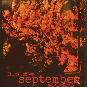 autumn rain by life