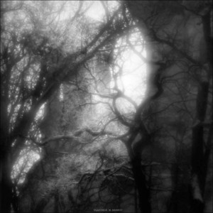 night mail (pm_four) by davi, :Х, porcelain, EMF Reader