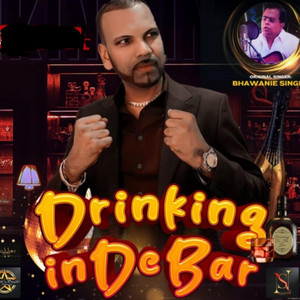 Harish Soogdeo - Drinking By The Bar