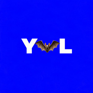 YVL by ORBIT!, PROJECT YVL