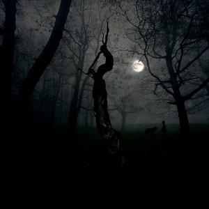 Scene So Dark by 2 Blitzed