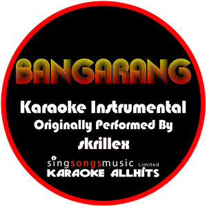 Bangarang レコード 希少 Skrillex 名盤 LP バンガラング