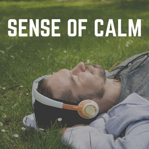 Sense of Calm album