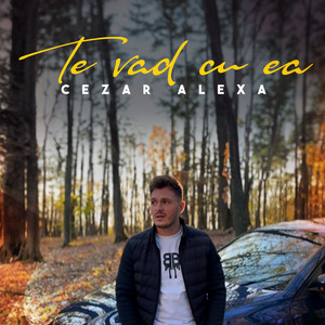 Te vad cu ea