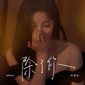 除了你 - DJ九零版伴奏 by 阿美呀, DJ九零
