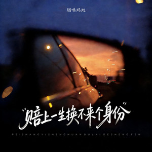 赔上一生换不来一个身份（dj彭锐版） by 烟嗓蚂蚁
