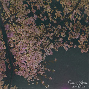 Evening Bloom by Luna Grove