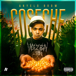 Coseche