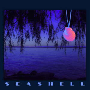 Seashell