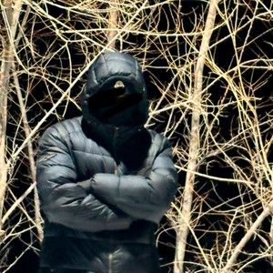 yousentit - Arguments and flow