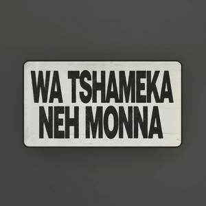 Ricco Harris, Ricco Chezaman & nacotic sero - Wa Tshameka Neh Monna (feat. Deflotek Jojo & Killer Mphela)