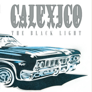 The Black Light (20th Anniversary Edition) cover