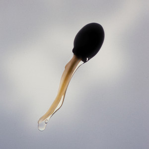 Comment tu vas finir - undefined | Song Album Cover Artwork