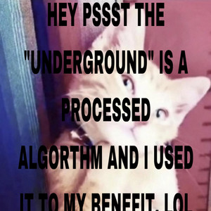 dead.brook - duvet jerk//freestyle